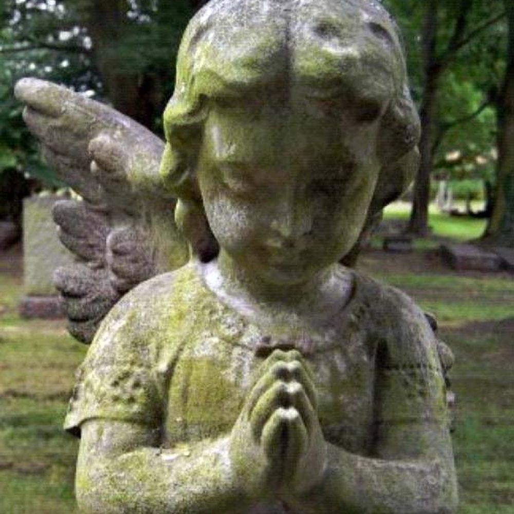 Friends of Warriston Cemetery