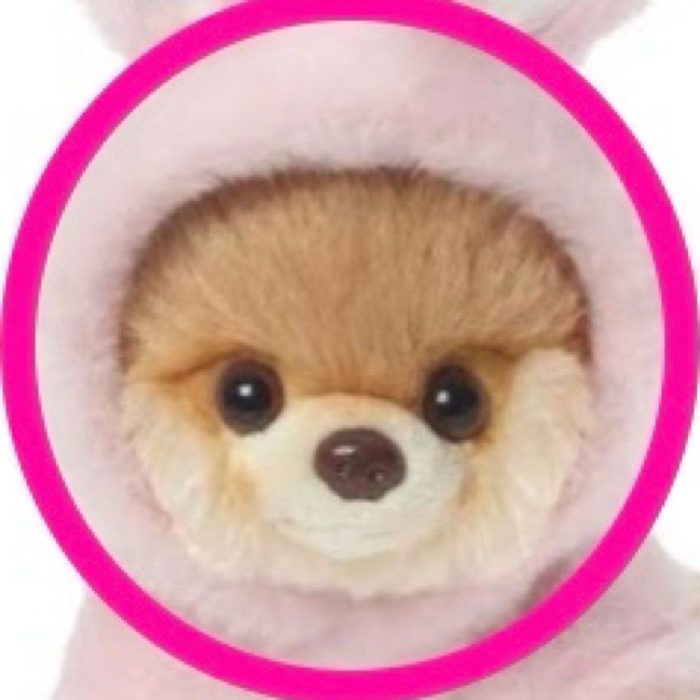ひめのん