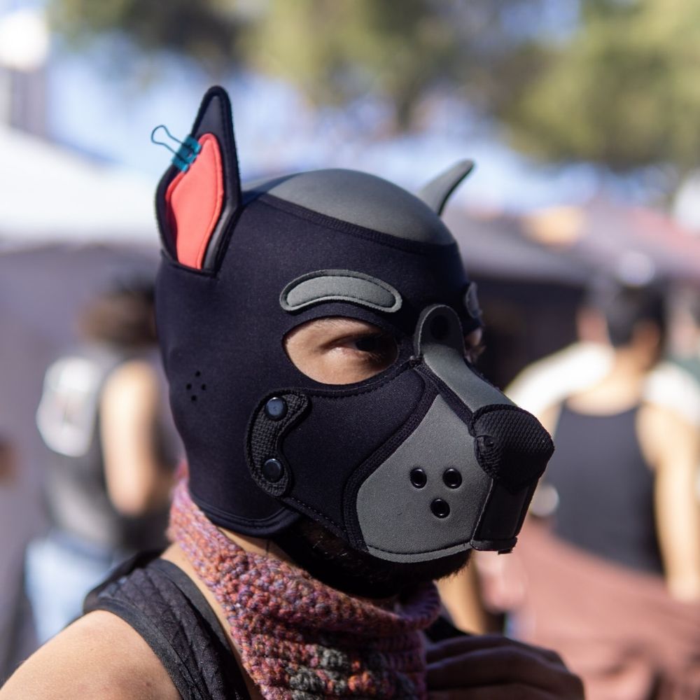 Doggo Jongo