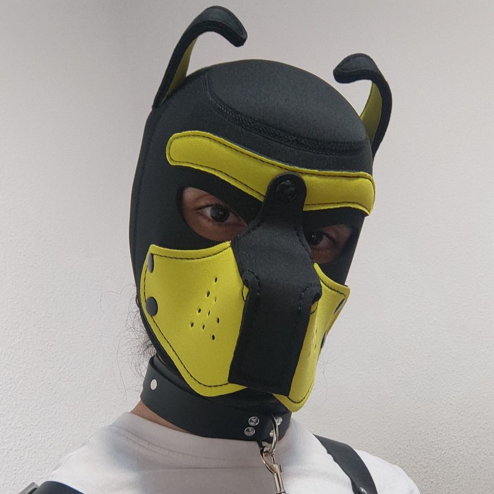 Pup Φύλαξ 🐾