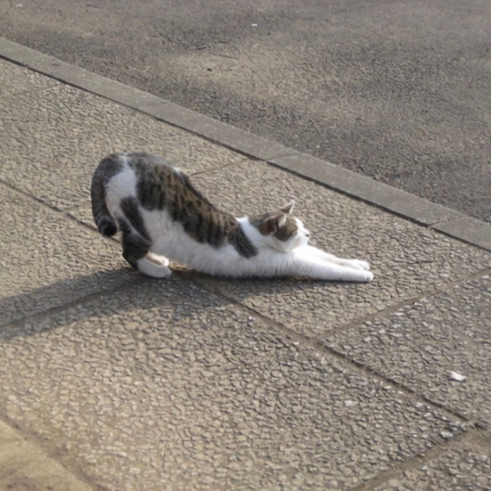 もた