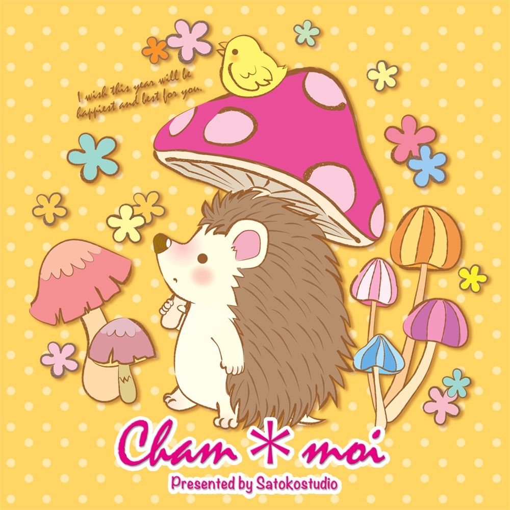 ミヤカワサトコ/Cham＊moi