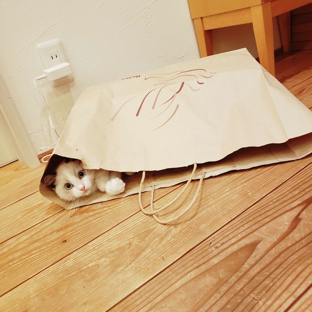 そ