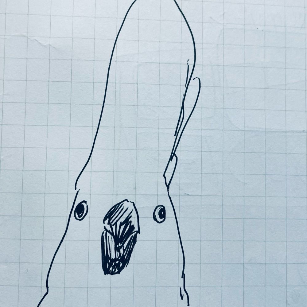 買う🦧