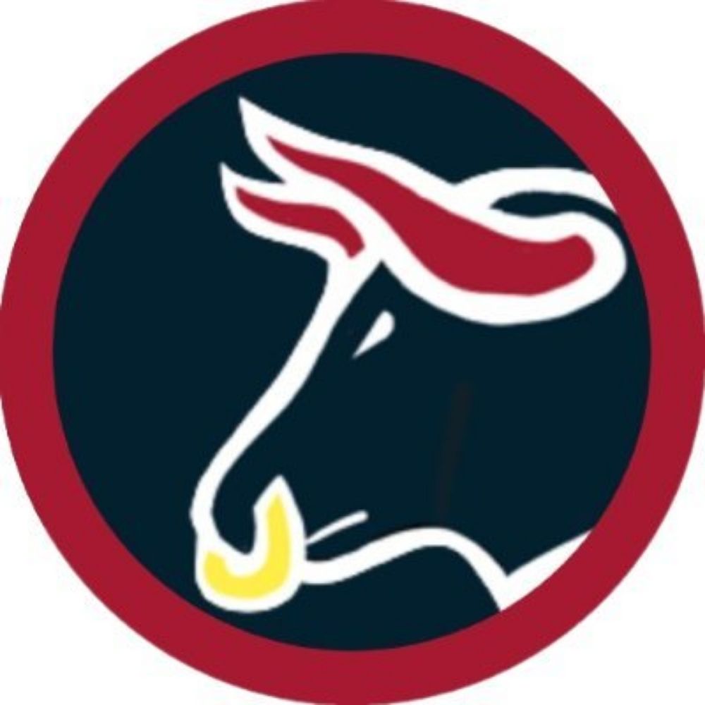 Texans Fanatic