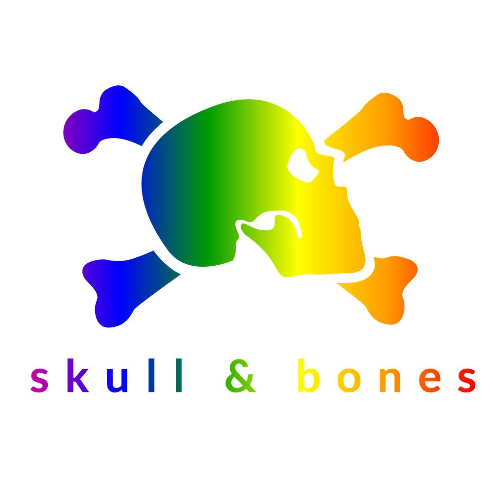 Skull & Bones 