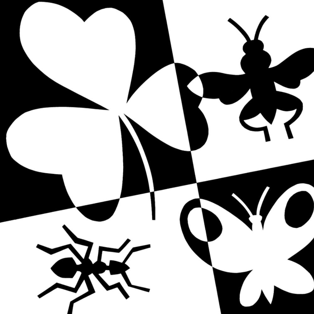 Functional Agrobiodiversity & Agroecology