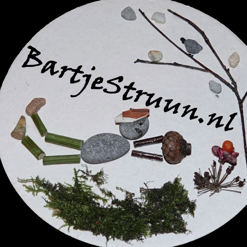Bart Pijper