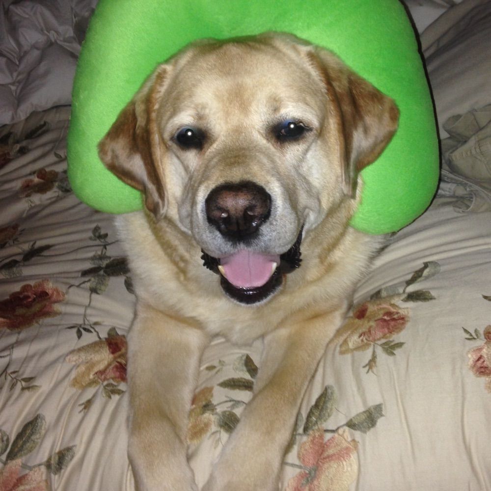 Cooper Hat10