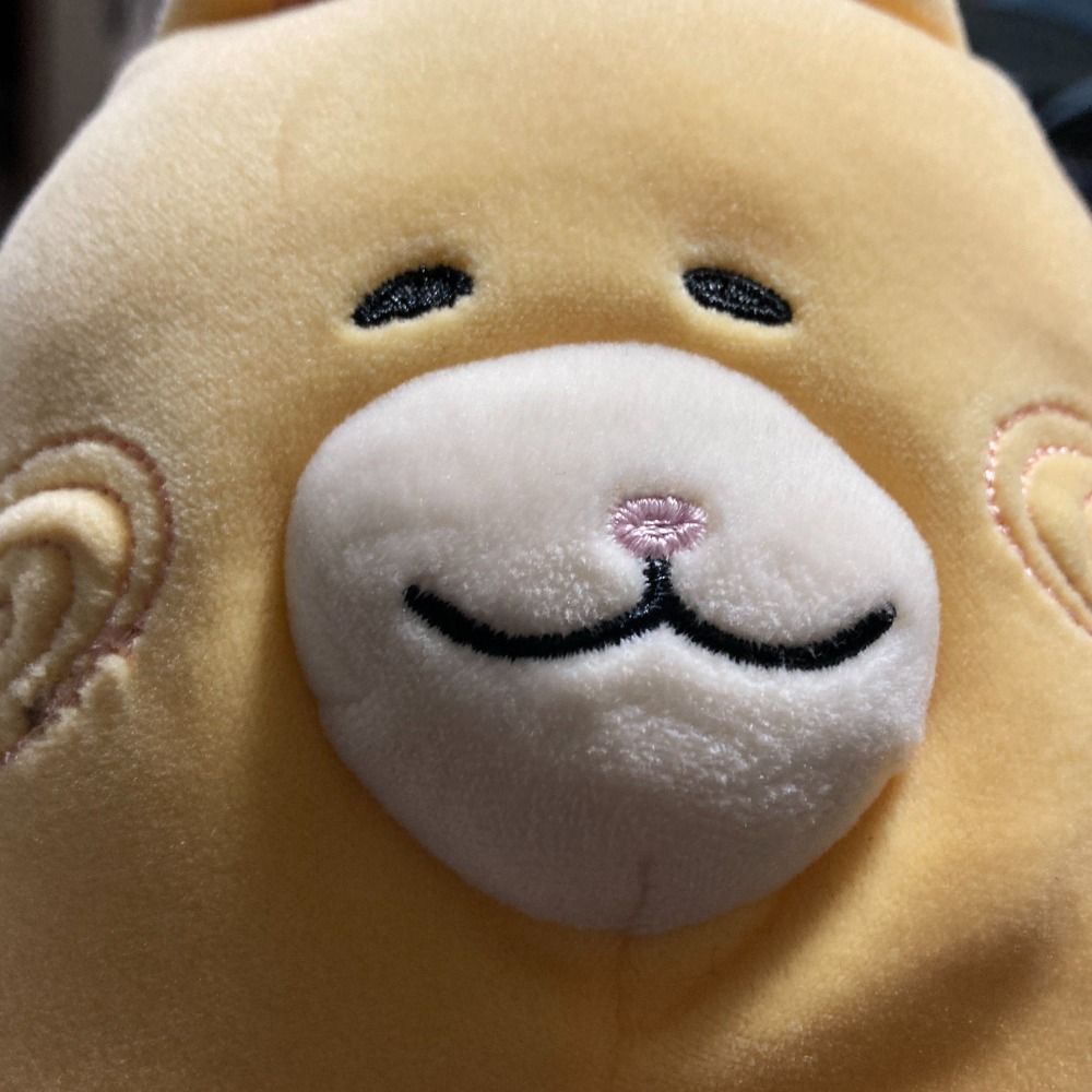 いぬさん