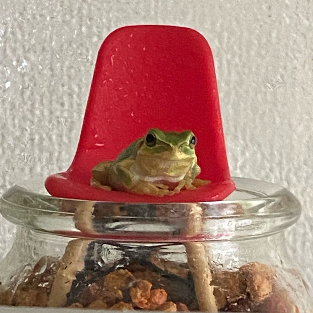 ダイバー