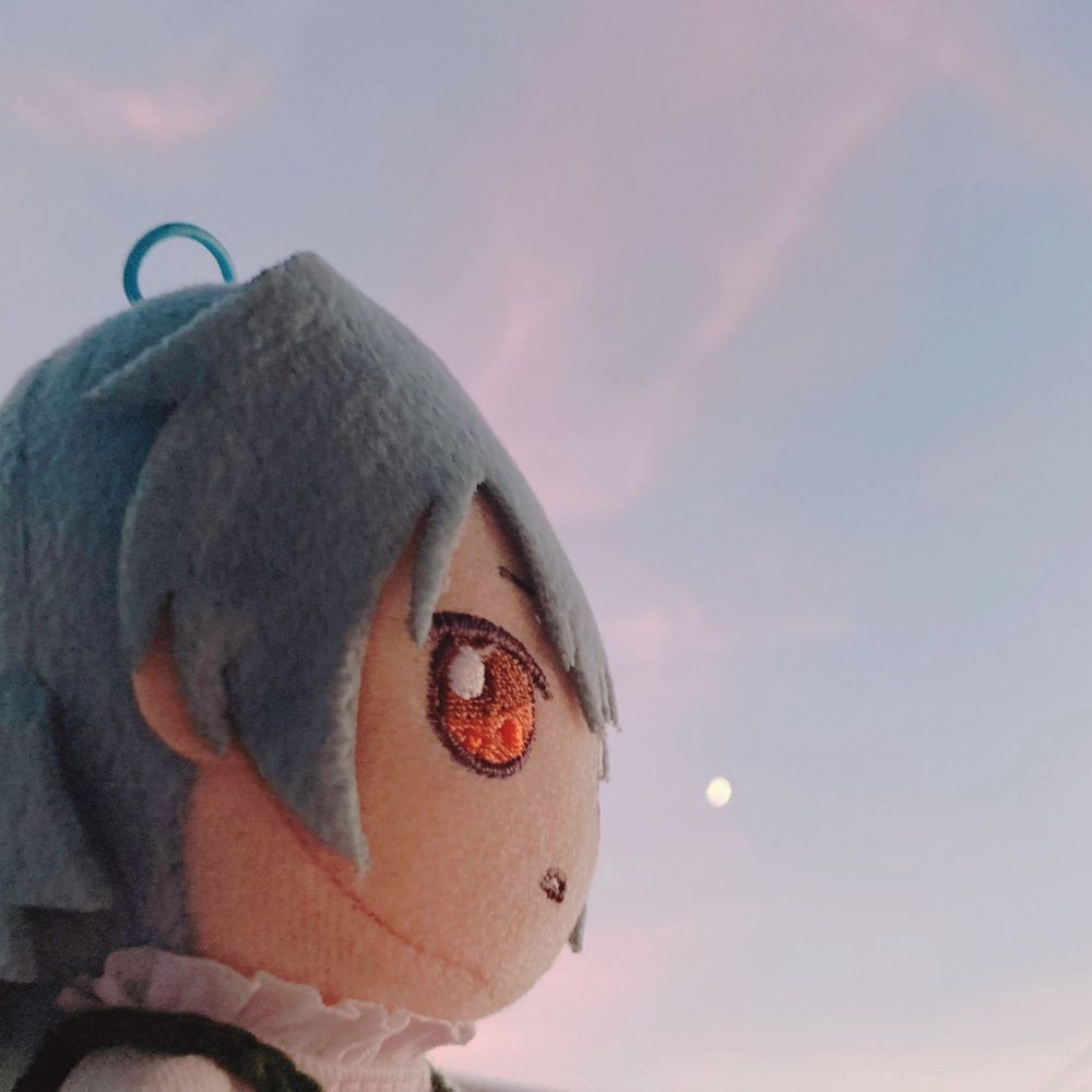 ネねの日常