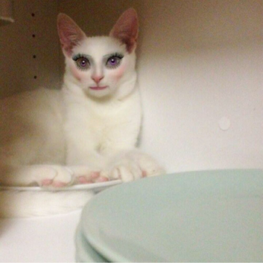 ☆Arti☆