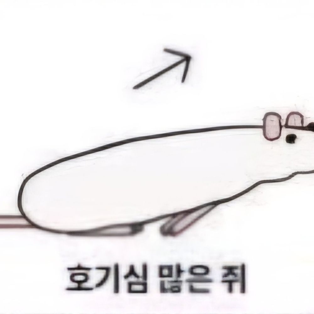 생쥐살려