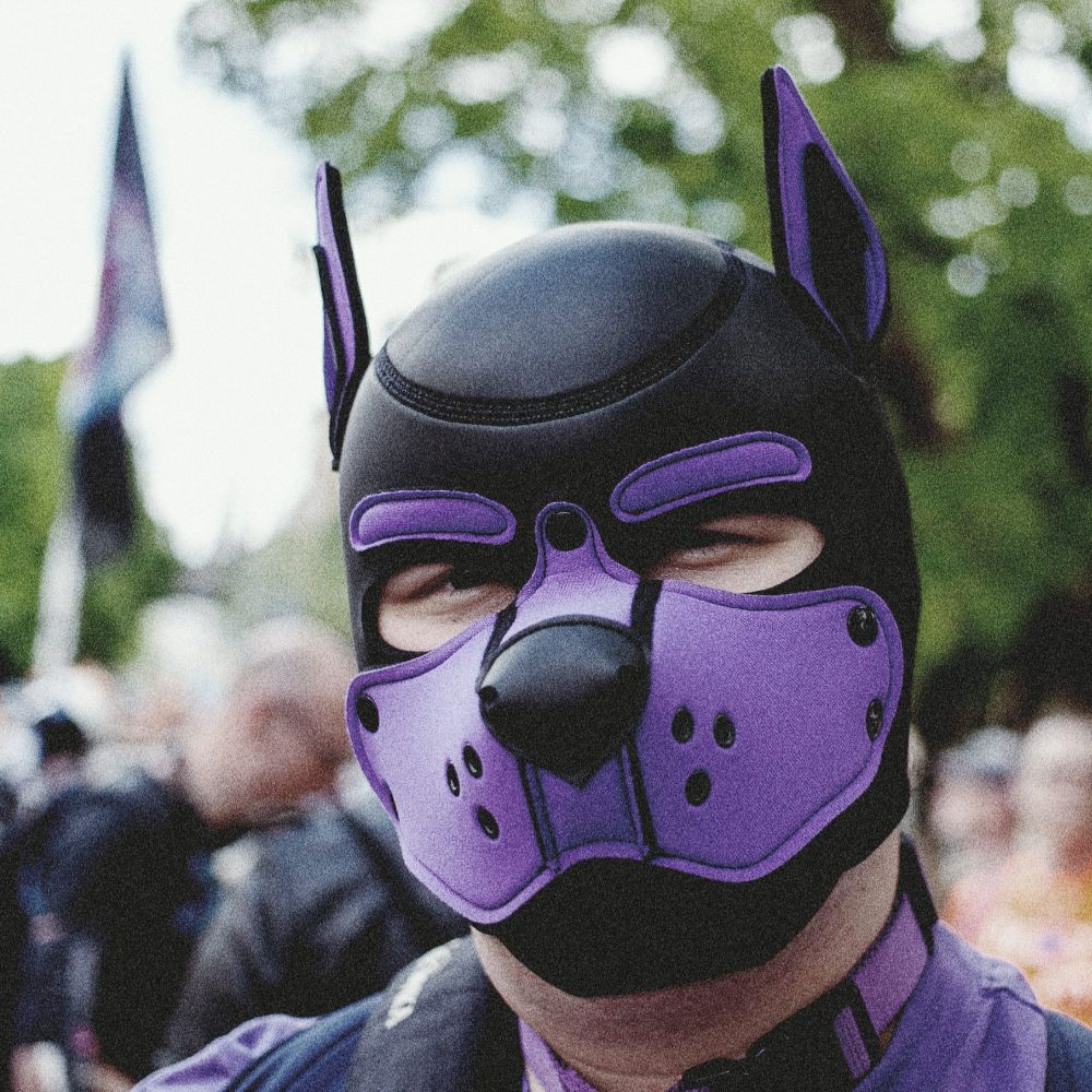 Joki :3 🏳️‍🌈