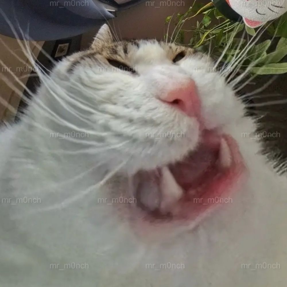 Basadote