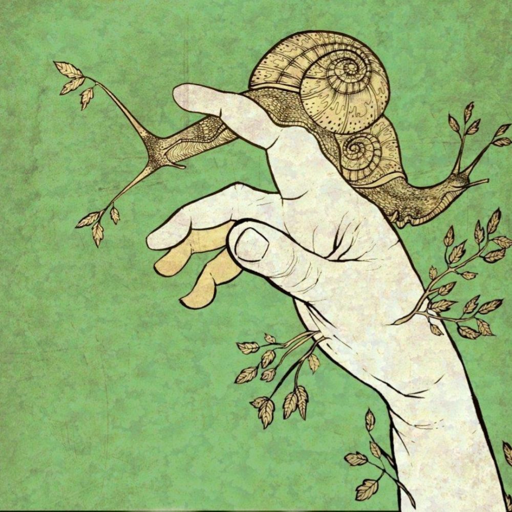 Dances on Trees