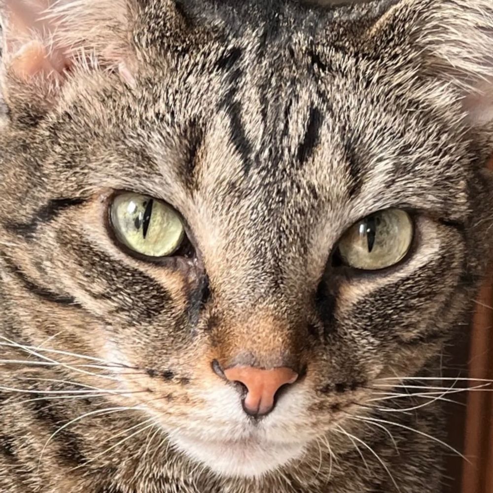 ✨MarcusBuddyVincet