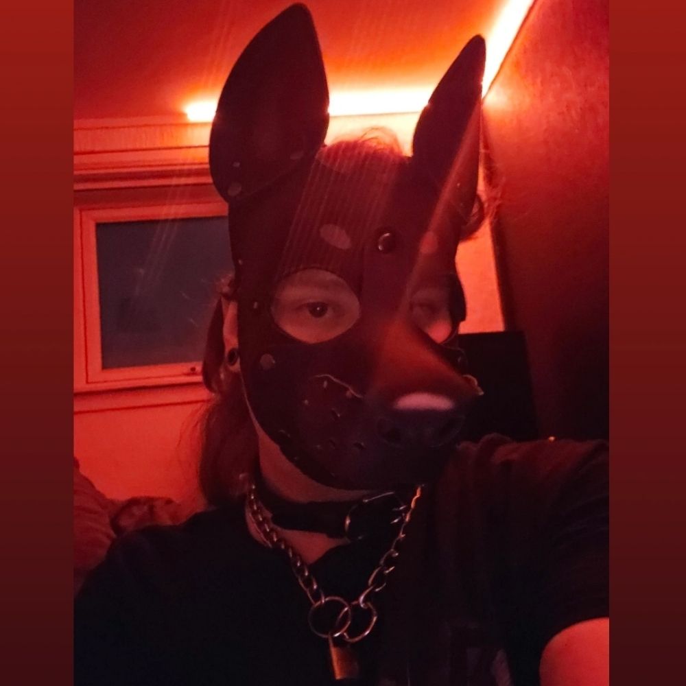 Kassy🐾