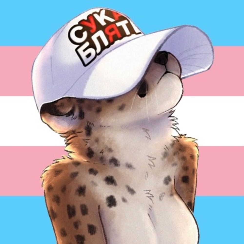 Cheetah 🐱⚙️