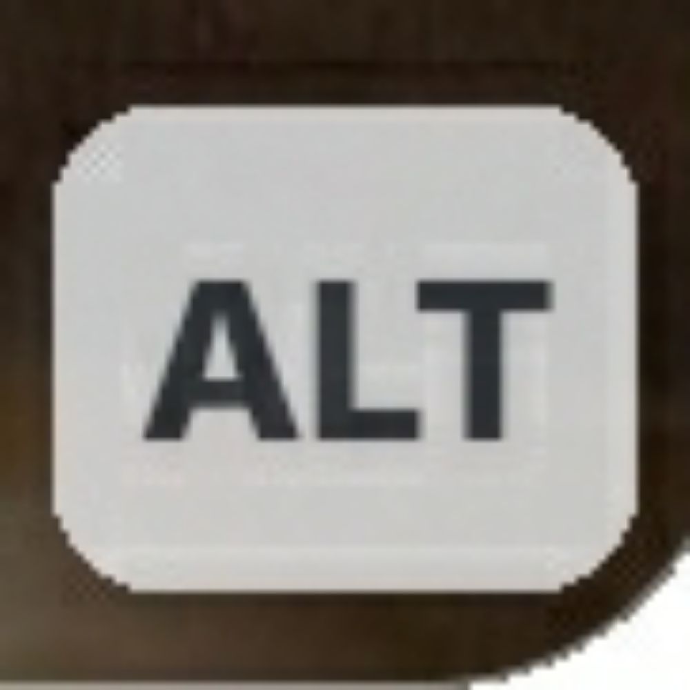 Alt Text Showcase