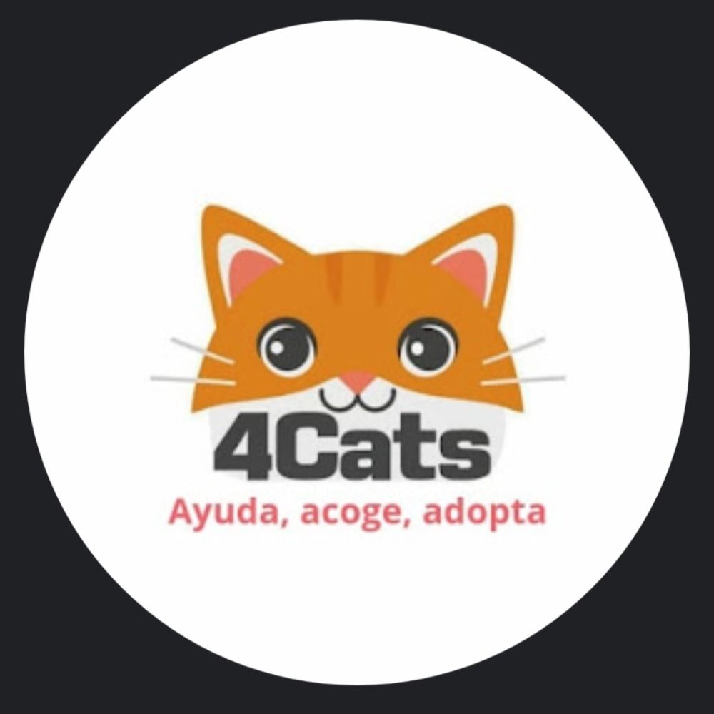 4catsVLC 's avatar