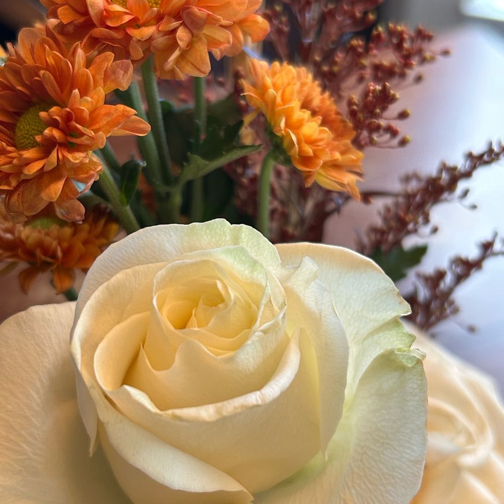 Bloom Scroll