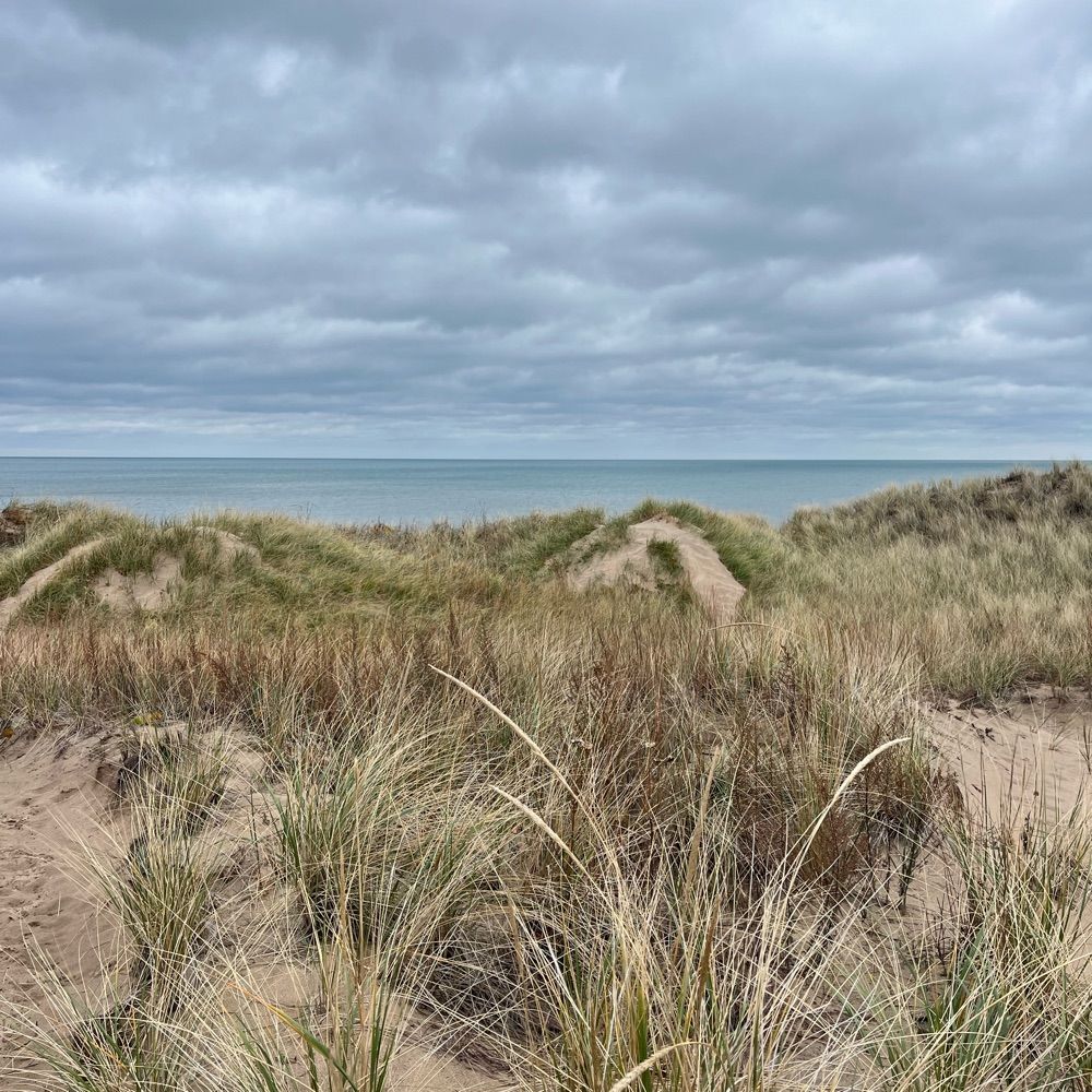 Dig the Dunes