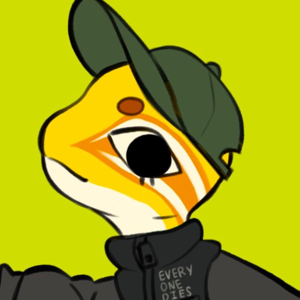 drooly kb
