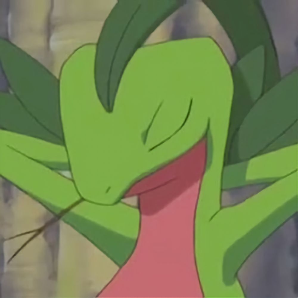 mesonero