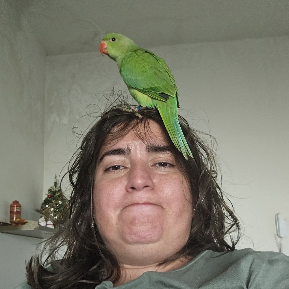 Heleninha Roitmann