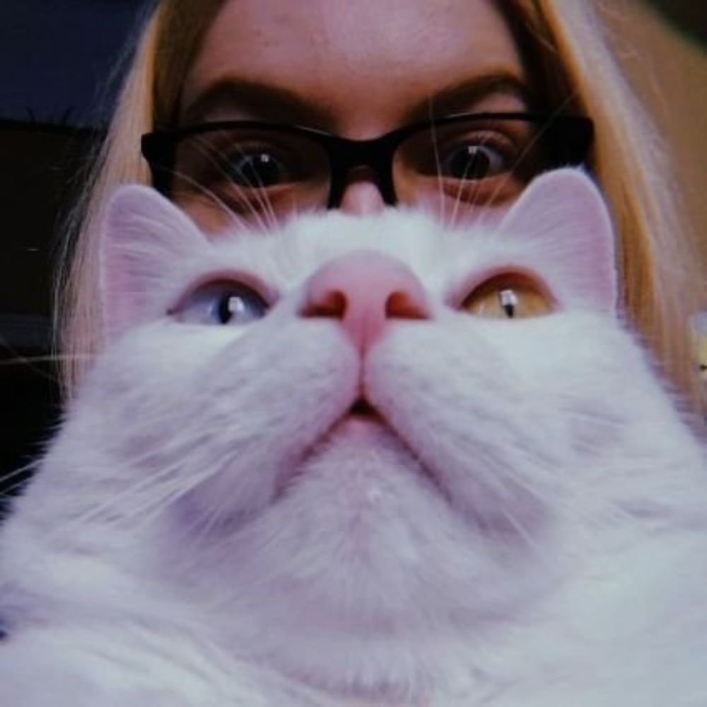 B🐱