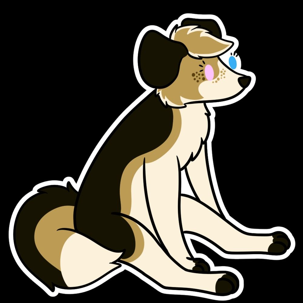 Autumn the Border Collie