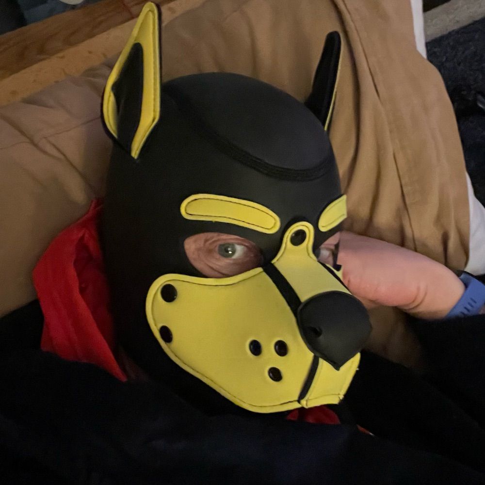 Pup Spyke C