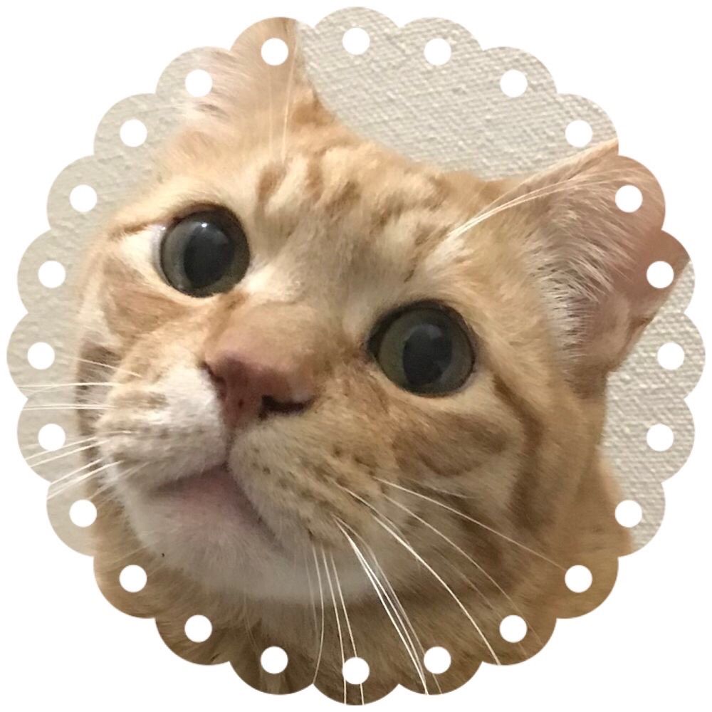 そそそ
