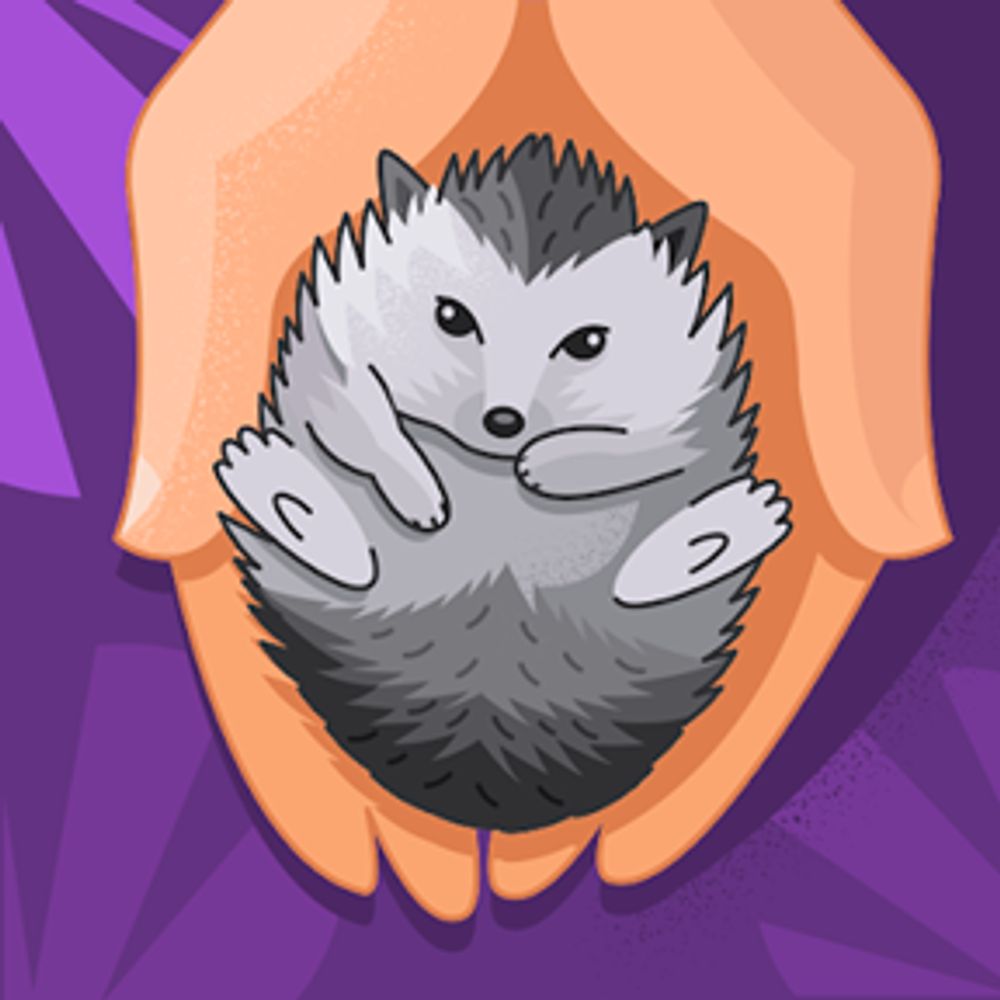 Grumpy Hedgehog