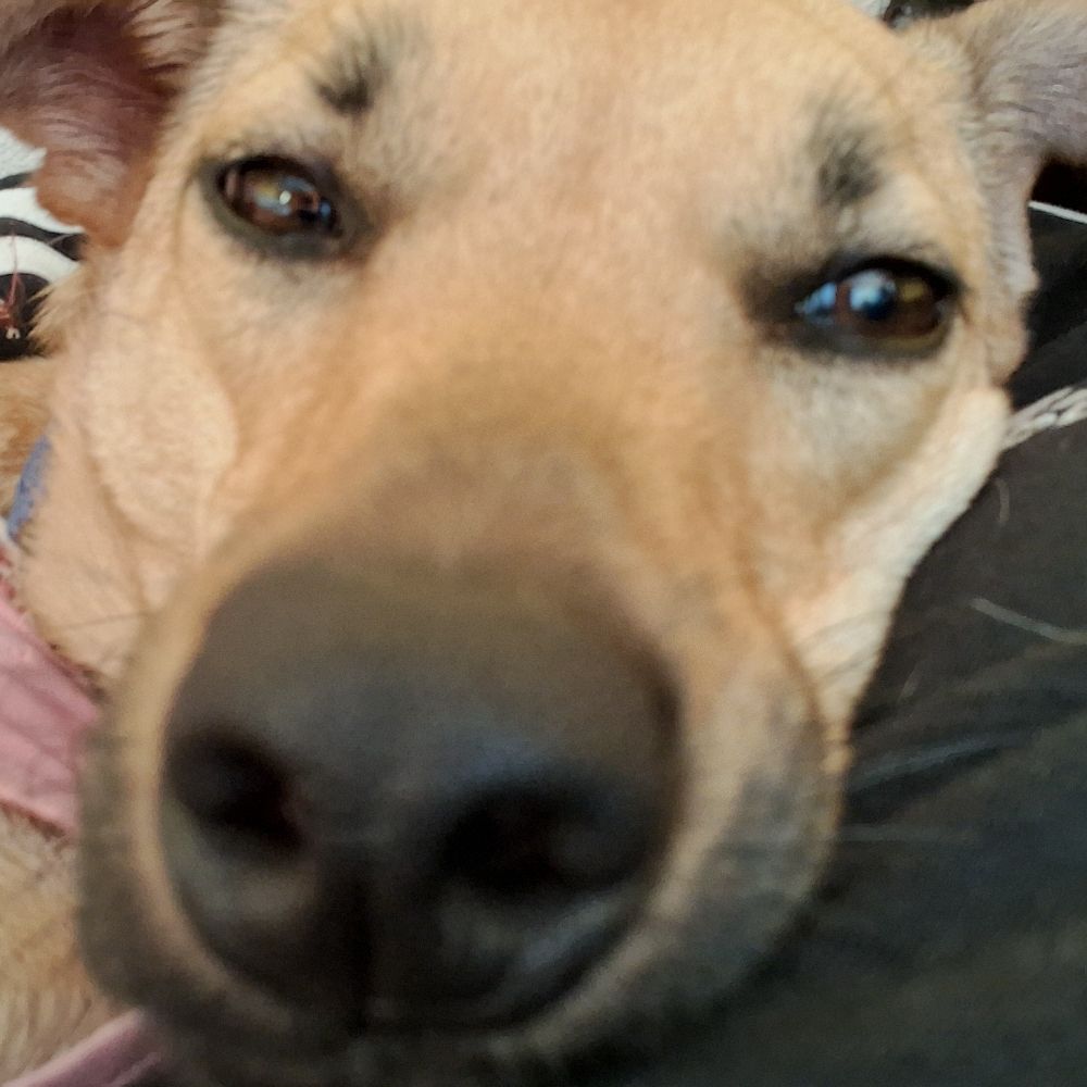 Manu♡
