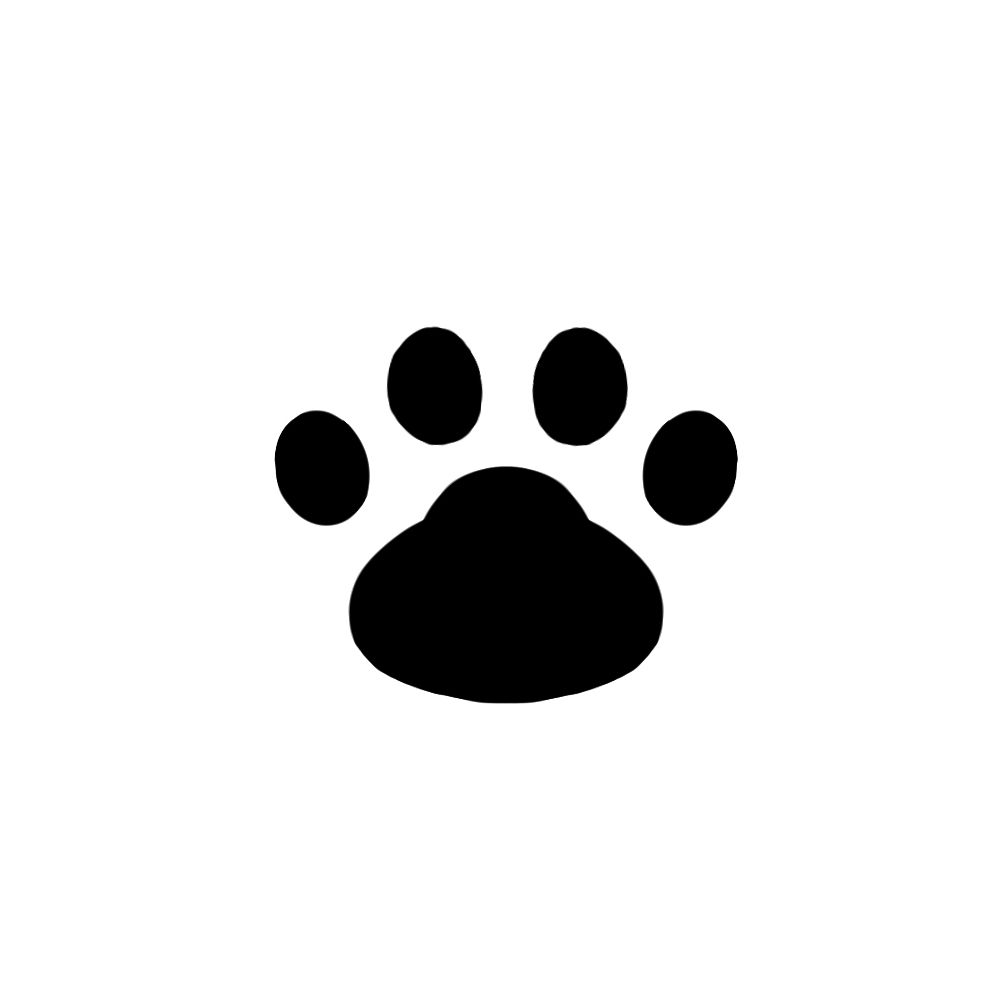 黒猫ぽん