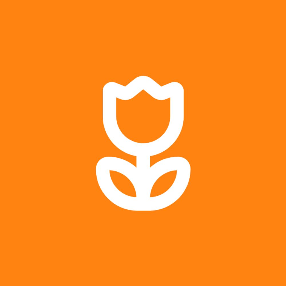 Developer -Shopify, node, WP, React, Node/ Manager / solopreneur