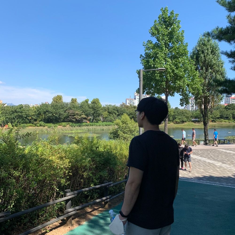 도리