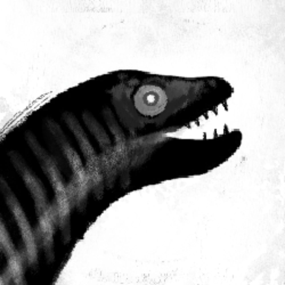EL