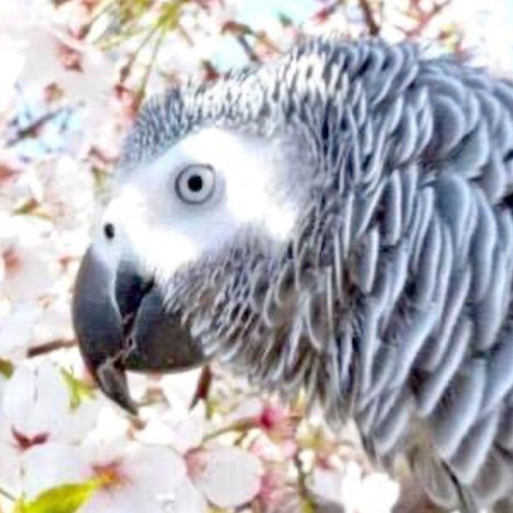 にし