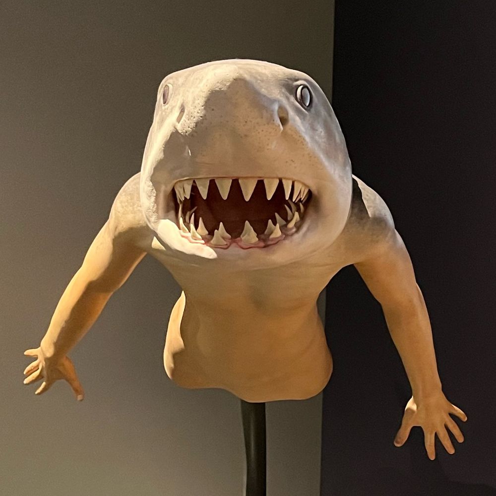 こむん