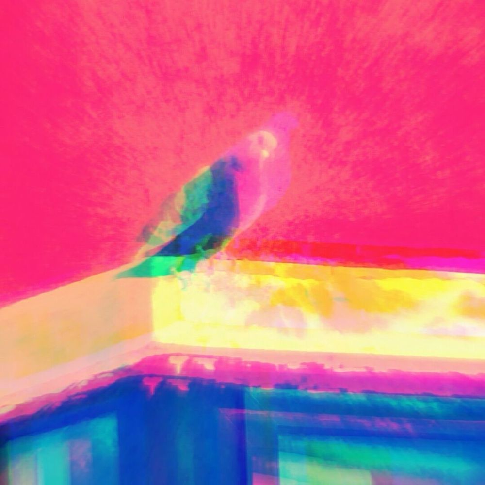 怪了怪了不是吗