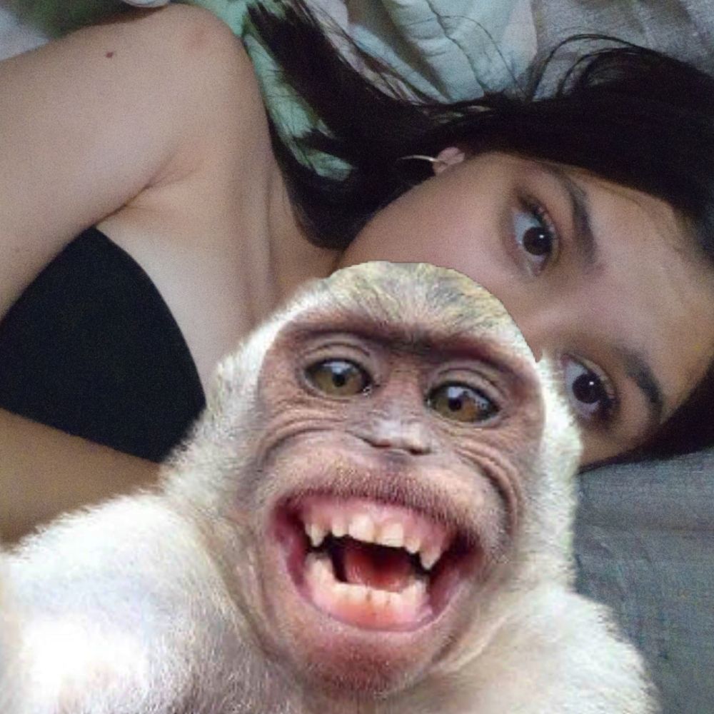Mandoka sem twitter 