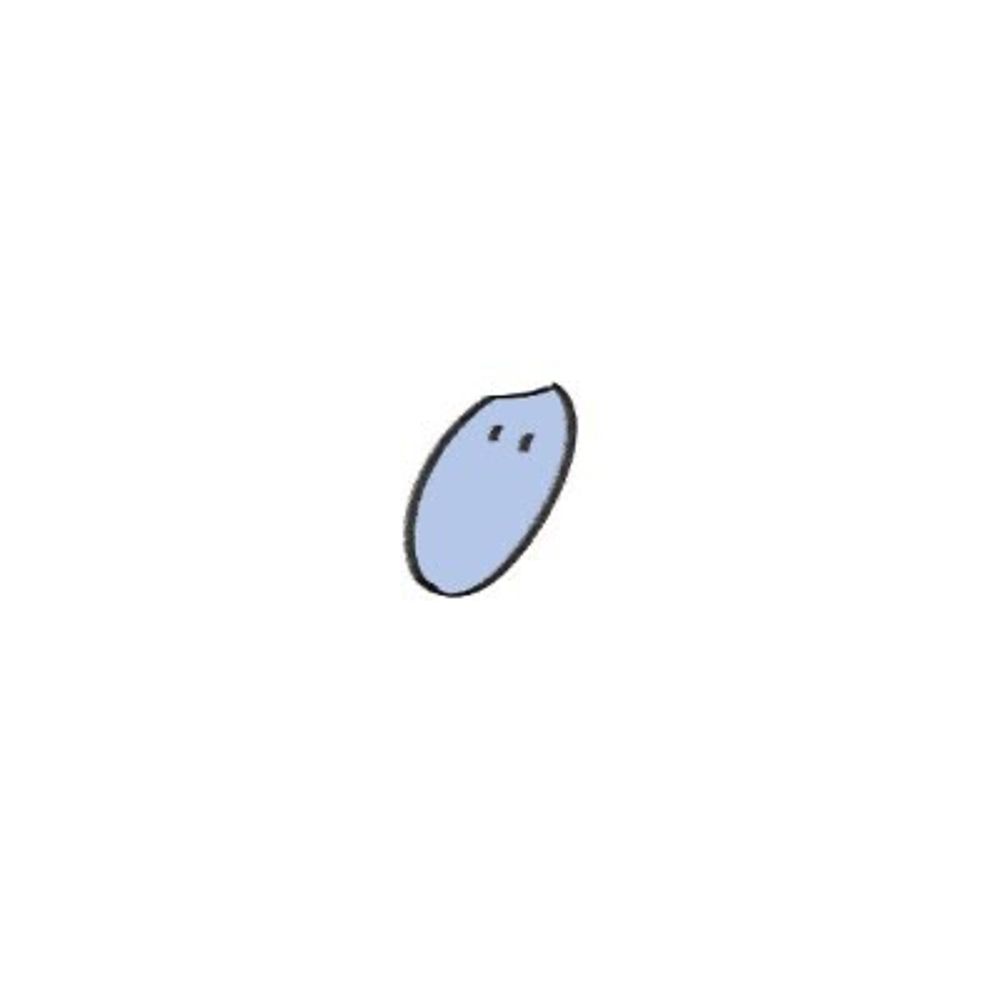 未開