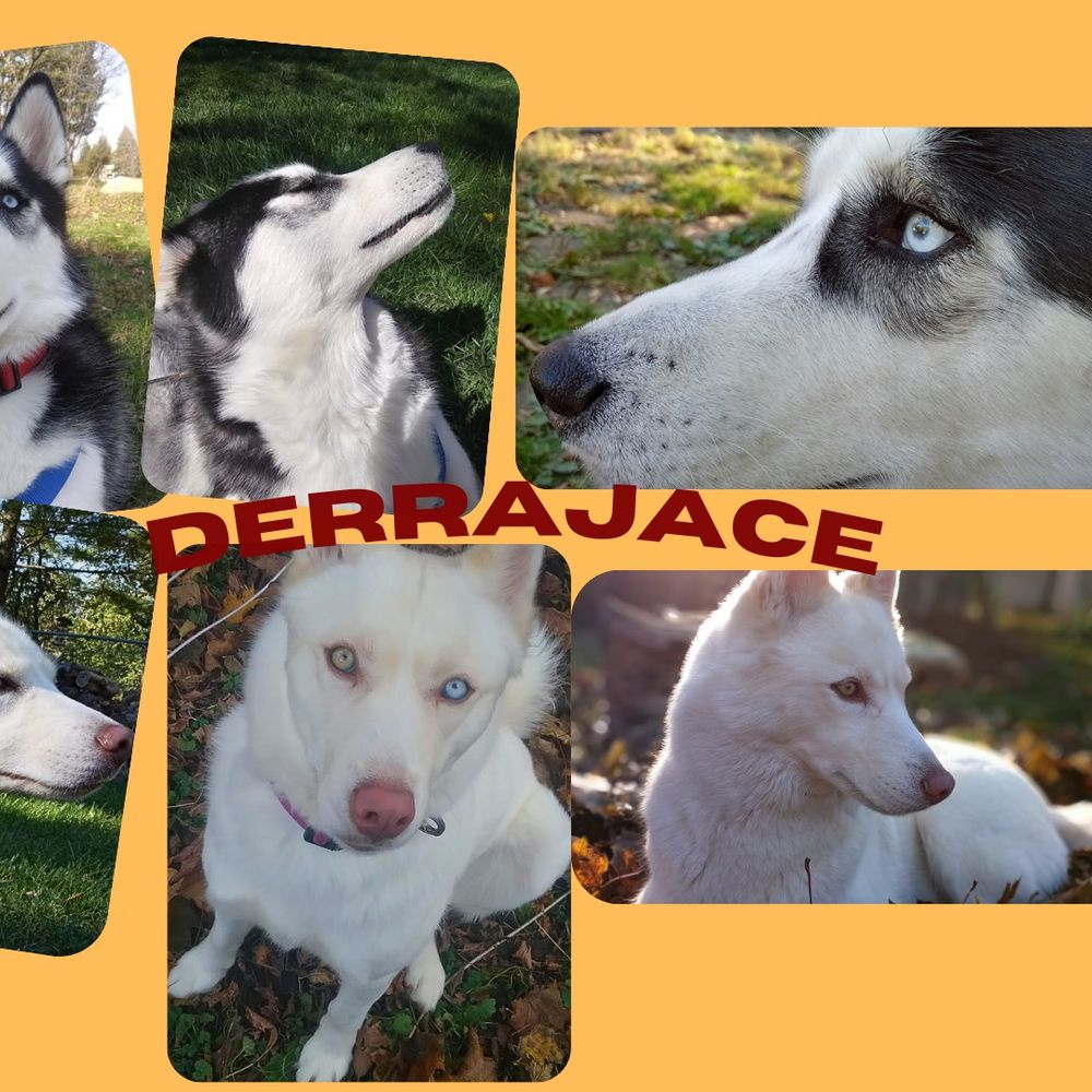 derrajace