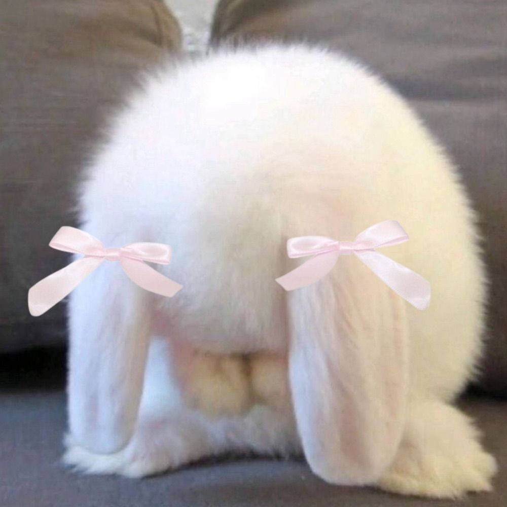 Profile picture babybunnies.bsky.social