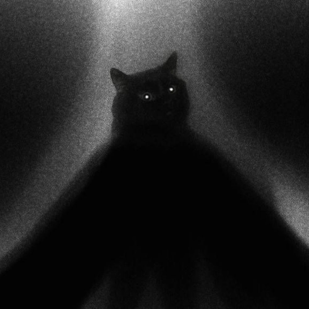 d3dcatt