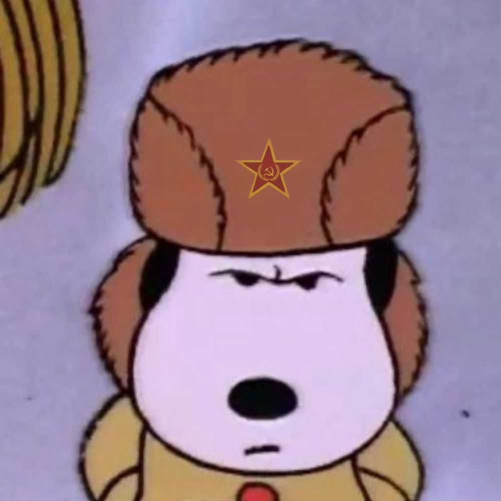 marci 🇰🇵